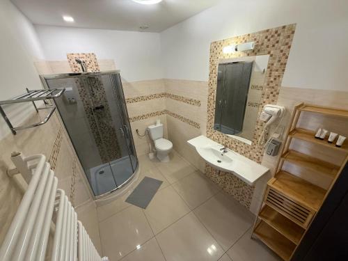 a bathroom with a shower and a sink and a toilet at Mąka i Magia - Kuchnia regionalna - Agroturystyka in Zambrów