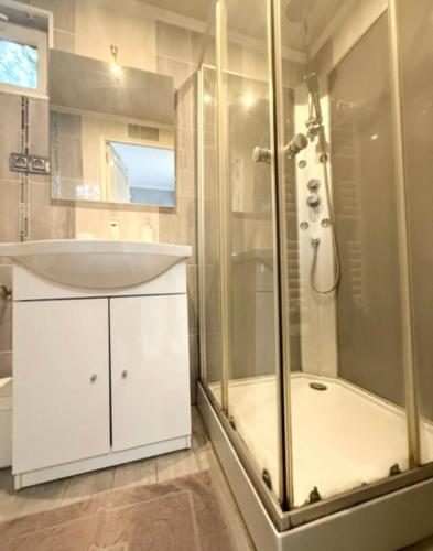 une salle de bain avec un lavabo et une douche dans l'établissement Fully equipped studio with garden, à Pessac