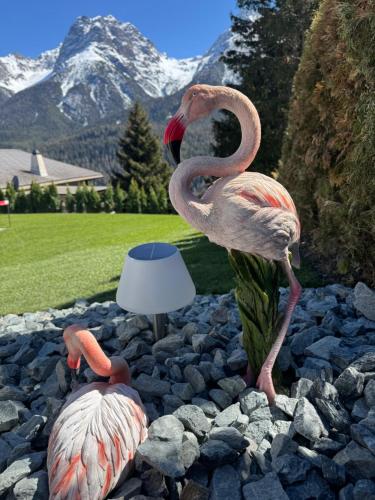 two flamingos are standing on rocks with a lamp at Berg-Bijou Scuol in Scuol