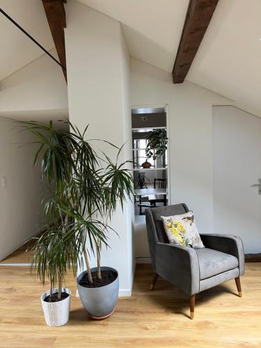 a living room with two potted plants and a chair at Guest House alla Stazione, Ambrì in Ambri