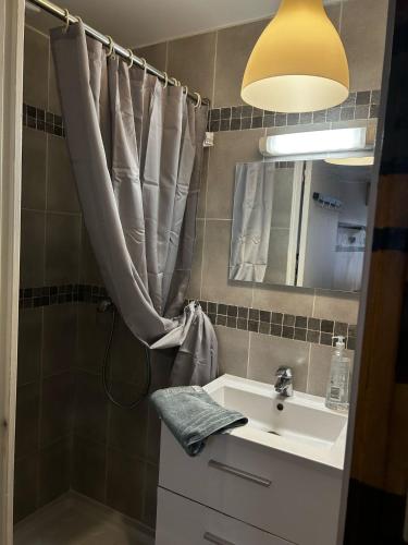 une salle de bain avec un lavabo et un rideau de douche dans l'établissement Studio Panier 2000, à Marseille