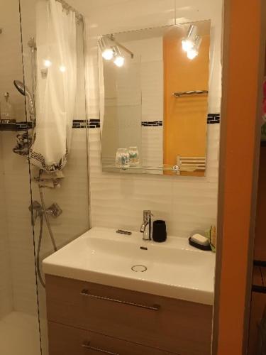 een badkamer met een wastafel, een douche en een spiegel bij le dramont in Saint-Raphaël