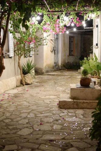 Daniela Village House