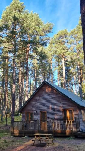 a log cabin in the woods with a deck at Cairngorm Lodges in Aboyne