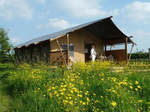 Zahrada ubytování Tall Trees Glamping