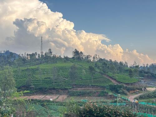 auliculiculiculiculiculiculiculiculiculiculiculiculiculiculic at Eureka Hillside Hideaway in Kotagiri