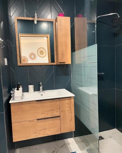 un baño con lavabo y ducha en Appartement T2 proche de la gare, en Arles