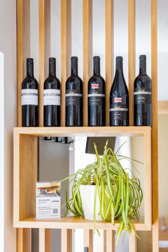 four bottles of wine on a shelf with a plant at Weingut-Ferienwohnungen Kracher in Apetlon