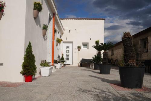 Vesuvio Home Capodichino