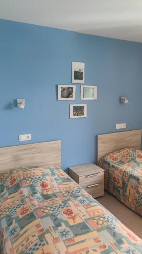 deux lits dans une chambre aux murs bleus dans l'établissement Gite étape la Belle étoile de Flayat, à Flayat