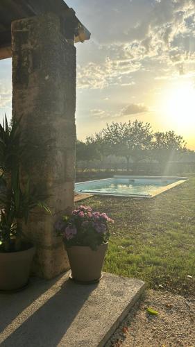 une terrasse avec une plante en pot et une piscine dans l'établissement Country house-pool-vineyards-fully equipped, à Montagne