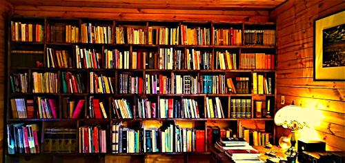 a book shelf filled with lots of books at La ermita del bosque in Valparaíso