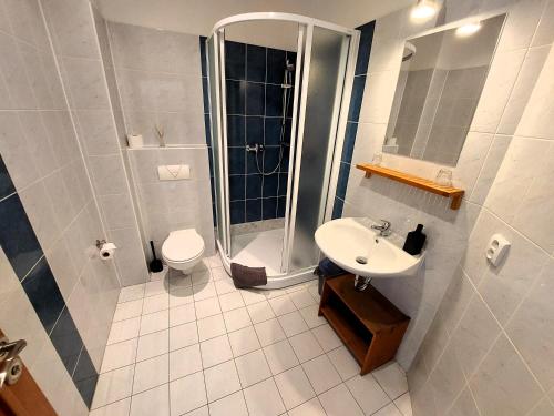 a bathroom with a shower and a sink and a toilet at Penzion Grado Davle in Davle