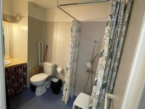 une salle de bain avec toilettes et rideau de douche dans l'établissement 3 Pièces 6 personnes avec parking gratuit - Superdevoluy - FR-1-504-466, à Saint-Étienne-en-Dévoluy
