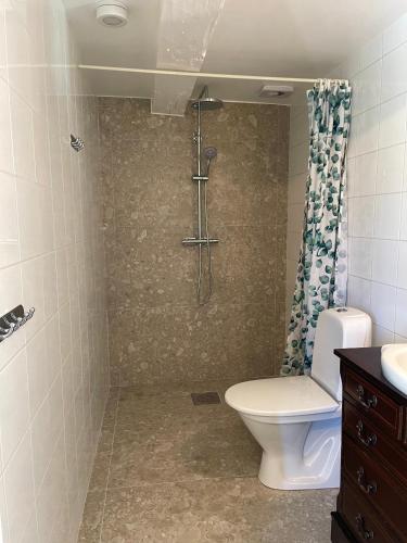 a bathroom with a shower with a toilet and a sink at Magasinet in Ingelstad