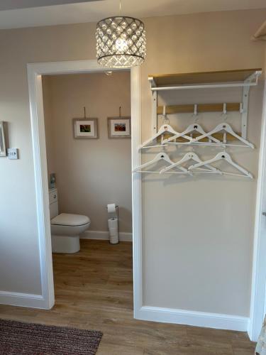 a bathroom with a toilet and a chandelier at Stepping Stone in Fort William