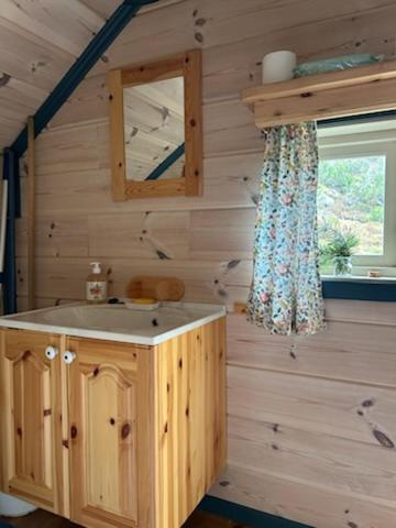 a bathroom with a sink and a mirror at Støl ved Sognefjorden in Berge