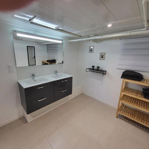 une salle de bain avec un lavabo et un miroir dans l'établissement Tranquilizen, à Chartres