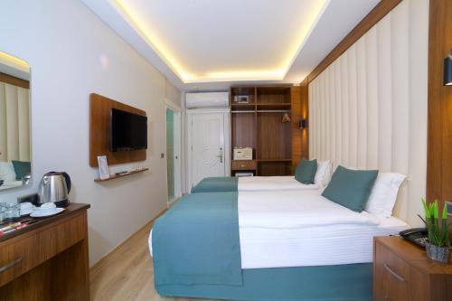 a hotel room with two beds and a television at Hotel Black Tulip in Istanbul
