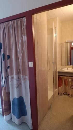 une salle de bain avec un rideau de douche et un lavabo dans l'établissement Adour Piscine Vue Montagnes, à Souraïde