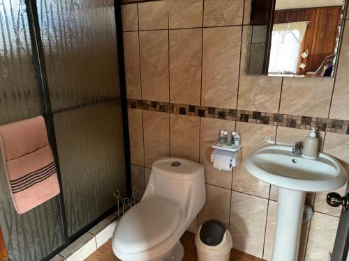 a bathroom with a toilet and a sink at La fortuna cabañas Kwepal vista al volcan Arenal in Fortuna