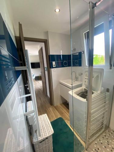 a bathroom with a glass shower and a toilet at Le petit Chatel in Hattonchâtel