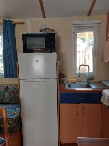La cuisine est équipée d'un réfrigérateur blanc et d'un four micro-ondes. dans l'établissement Mobil home 3 chambres, à Saint-Georges-de-Didonne