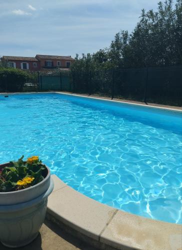 une grande piscine bleue avec une plante dans un pot dans l'établissement Studio Pont du Gard, à Sernhac