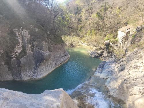Φυσικό τοπίο κοντά σε αυτό το διαμέρισμα