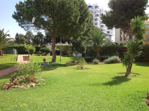 1-bedroom apartment, Diorama, Arroyo de la Miel