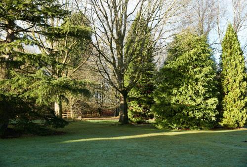 a group of trees in a field with grass at Chapel house in High Legh