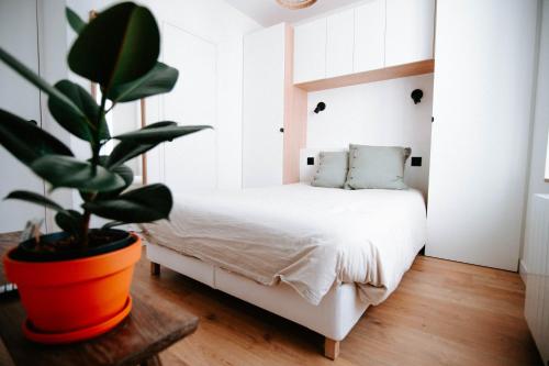 - une chambre avec un lit blanc et une plante en pot dans l'établissement T1bis cocooning au calme, à Brest