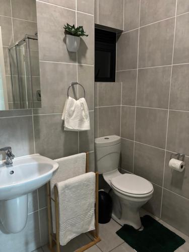 a bathroom with a toilet and a sink at Cozy nest apartment in Pretoria