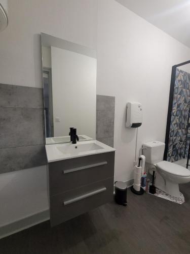 a bathroom with a sink and a toilet at Appartement F1 in Bas-en-Basset