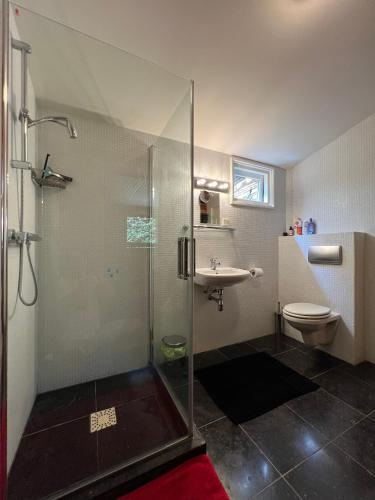 a bathroom with a shower and a toilet and a sink at Villa de Nachtegaal in Naarden