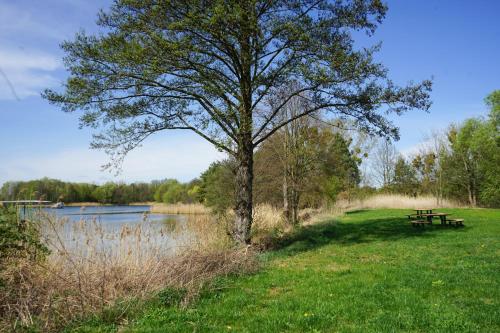 a picnic table under a tree next to a lake at slube an der Marina Zehdenick in Zehdenick