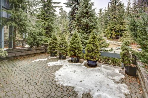 un groupe d'arbres de Noël dans une cour dans l'établissement Glacier Lodge, à Whistler