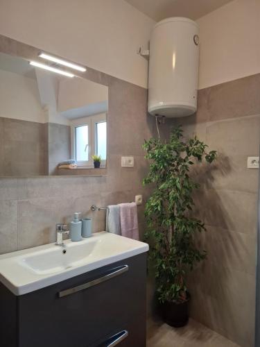 a bathroom with a sink and a potted plant at Slanica Murter MATE in Murter