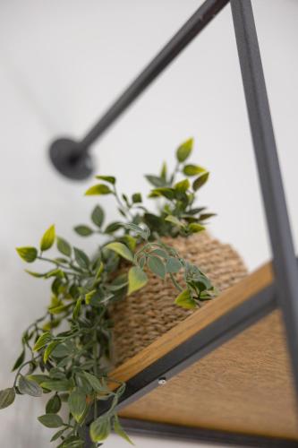 a plant sitting on top of a wooden shelf at MELIGEO Suites Center of IOANNINA in Ioannina
