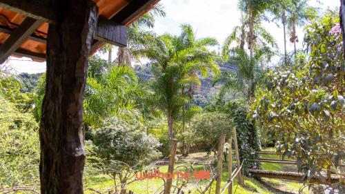 a view of the jungle from a house at Chalé em Venda Nova com vista para a montanha in Venda Nova do Imigrante