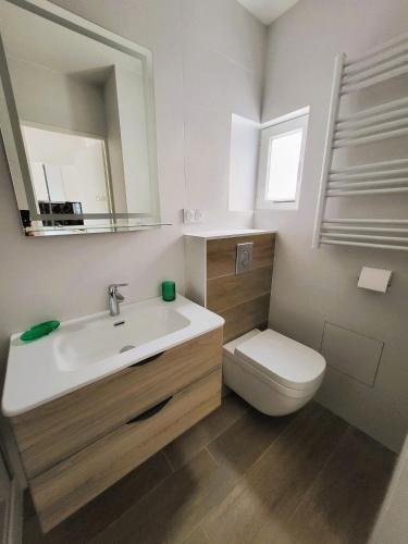 une salle de bain avec un lavabo, des toilettes et un miroir dans l'établissement Ravissant T2, proche centre, quartier très calme,,parking,clim, déco soignée, à Montpellier