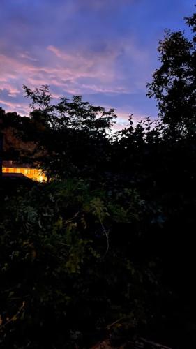 une silhouette d'un arbre avec le coucher du soleil en arrière-plan dans l'établissement La cabane des amoureux du jardin, à Barjols