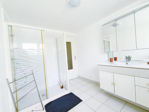 a bathroom with a shower and a sink at Le Marcel Terrasse jardin in Auch