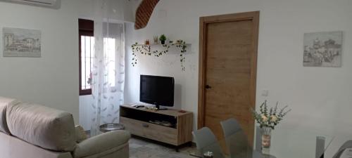 TV a/nebo společenská místnost v ubytování Casco antiguo