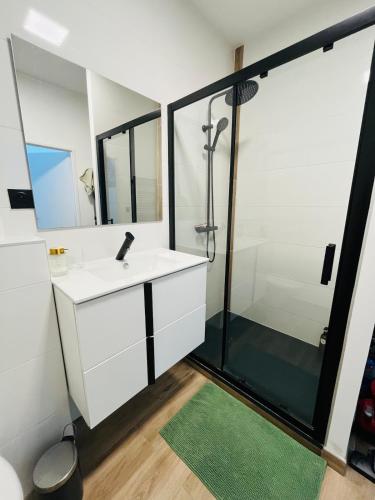 une salle de bain avec un lavabo blanc et une douche dans l'établissement Le Loft - Nantes, à Nantes