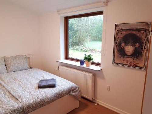 ein Schlafzimmer mit einem Bett und einem Fenster in der Unterkunft Central House in Billund 5 bdr - Next to LEGO adventures in Billund