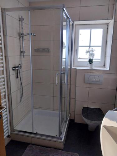 a bathroom with a shower and a toilet at Dahoam am Berg in Kolsassberg