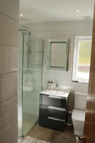 a bathroom with a shower and a sink and a toilet at Luxury 2 bedroom property in quiet location close to SW Coastal Path in Paignton