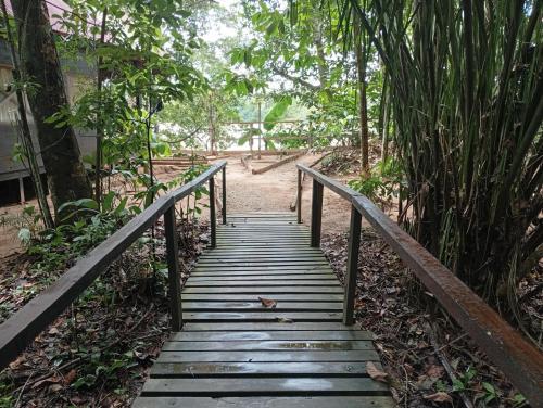 Foto dalla galleria di Lodge Parayso -Tambopata a Puerto Maldonado