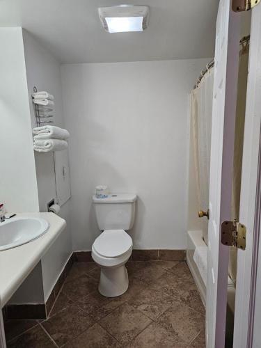 Ένα μπάνιο στο OYO Hotel Starlite Seneca Falls